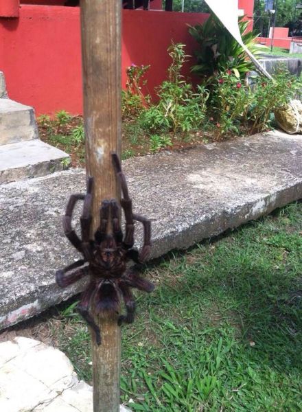 daily picdump weekend edition 65 pics 19.html - 65 HD Photos | Premium Gallery 2014