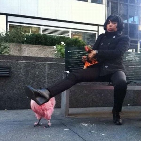 daily picdump weekend edition 65 pics 19.html - 65 HD Photos | Premium Gallery 2014