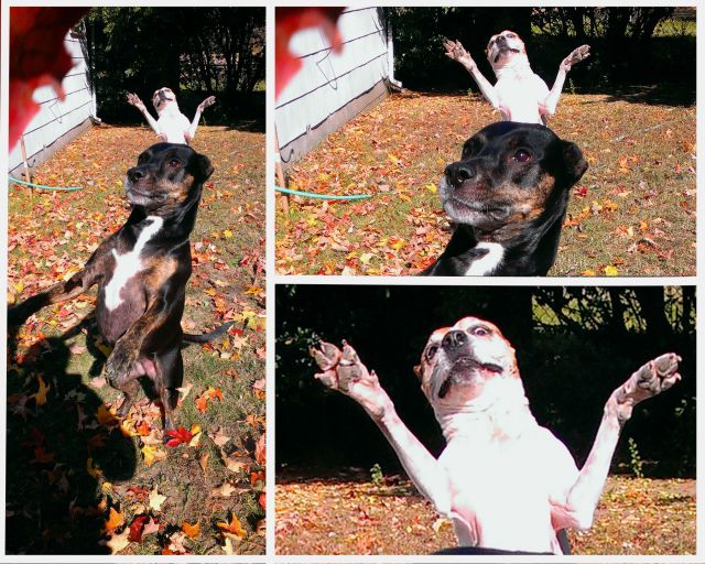 morning picdump 57 pics 12.html - 57 HD Photos | Premium Gallery 2014