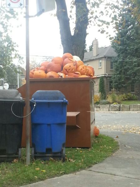 morning picdump 57 pics 12.html - 57 HD Photos | Premium Gallery 2014