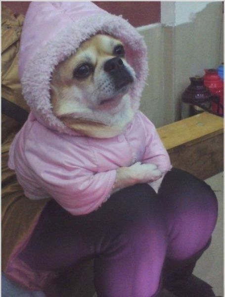 These Were Taken at the Right Angle