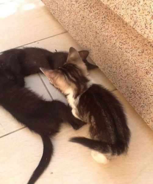 These Were Taken at the Right Angle