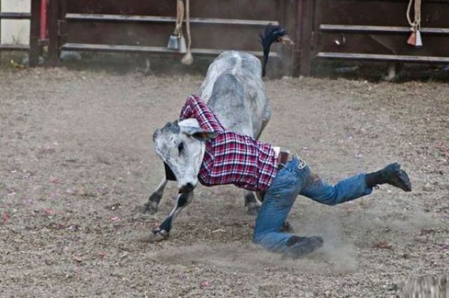 These Were Taken at the Right Angle