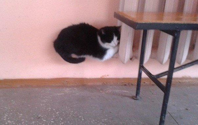 These Were Taken at the Right Angle