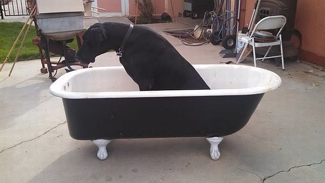 morning picdump 53 pics 11.html - 53 HD Photos | Premium Gallery 2014