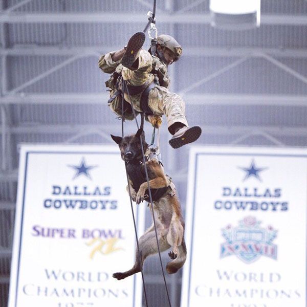 morning picdump 53 pics 11.html - 53 HD Photos | Premium Gallery 2014