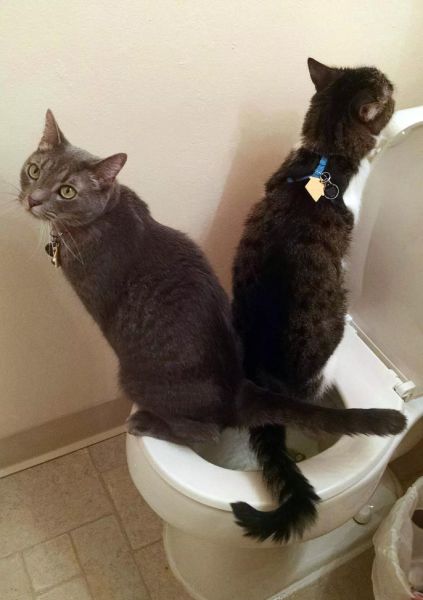 morning picdump 57 pics 20.html - 57 HD Photos | Premium Gallery 2014