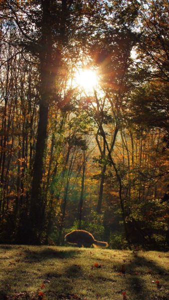 morning picdump 57 pics 20.html - 57 HD Photos | Premium Gallery 2014