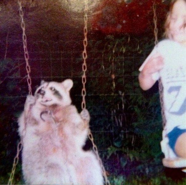 morning picdump 57 pics 20.html - 57 HD Photos | Premium Gallery 2014