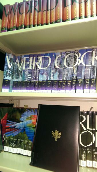 morning picdump 57 pics 20.html - 57 HD Photos | Premium Gallery 2014