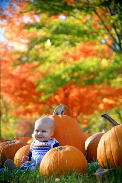 daily picdump 102 pics 20.html - 102 HD Photos | Premium Gallery 2014