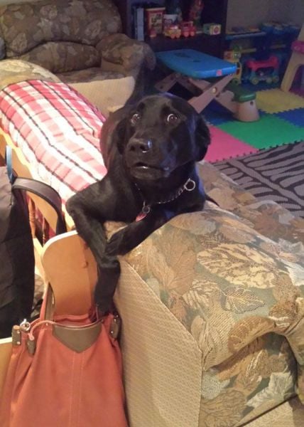 daily picdump 102 pics 20.html - 102 HD Photos | Premium Gallery 2014