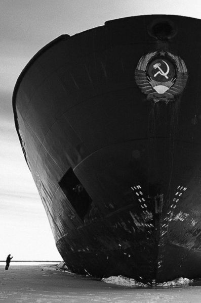 daily picdump 102 pics 20.html - 102 HD Photos | Premium Gallery 2014