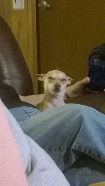 daily picdump 102 pics 20.html - 102 HD Photos | Premium Gallery 2014