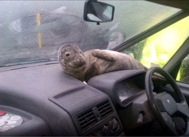 morning picdump 54 pics 14.html - 54 HD Photos | Premium Gallery 2014