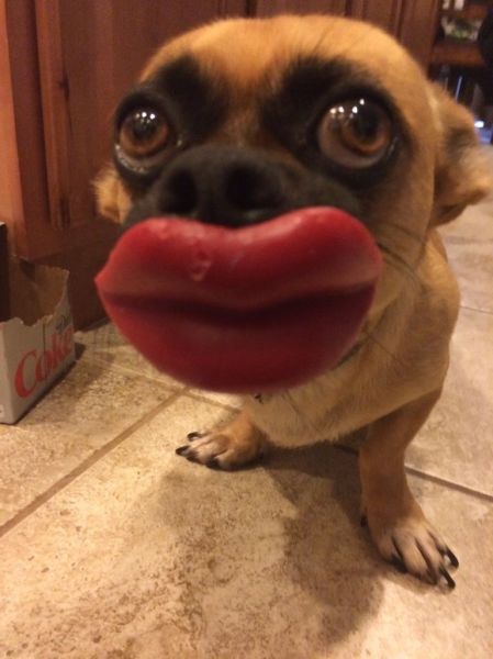 morning picdump 54 pics 14.html - 54 HD Photos | Premium Gallery 2014