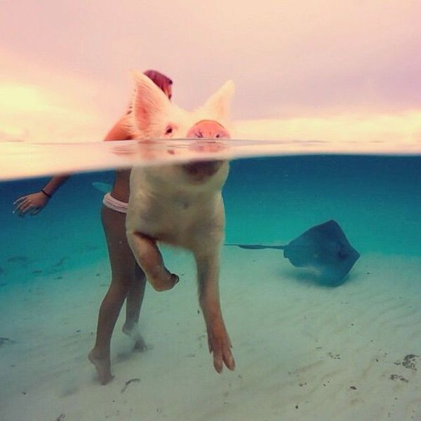 morning picdump 54 pics 14.html - 54 HD Photos | Premium Gallery 2014