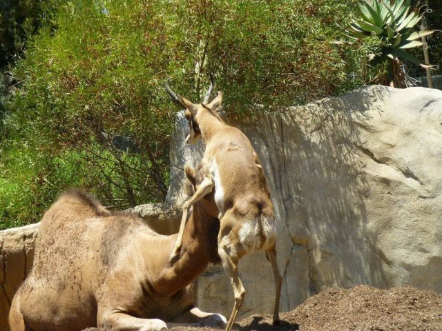 morning picdump 54 pics 14.html - 54 HD Photos | Premium Gallery 2014