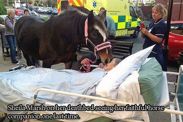 morning picdump 54 pics 14.html - 54 HD Photos | Premium Gallery 2014