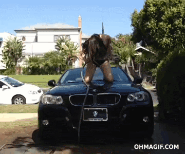 Amusing GIFs Capture Sexy Gone Wrong
