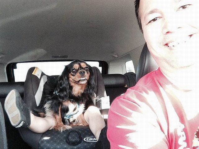 morning picdump 50 pics 12.html - 50 HD Photos | Premium Gallery 2014