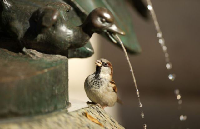 morning picdump 50 pics 12.html - 50 HD Photos | Premium Gallery 2014