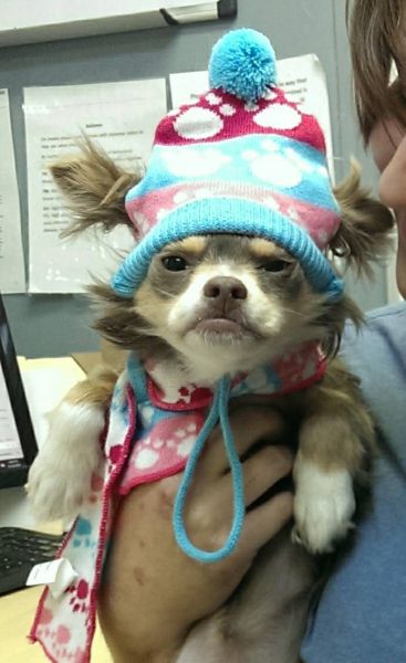 morning picdump 53 pics 22.html - 53 HD Photos | Premium Gallery 2014