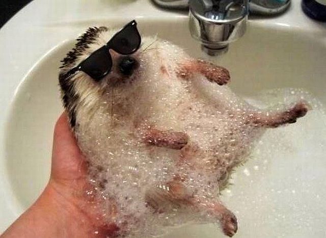 morning picdump 53 pics 22.html - 53 HD Photos | Premium Gallery 2014