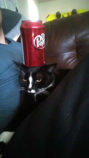 morning picdump 53 pics 22.html - 53 HD Photos | Premium Gallery 2014