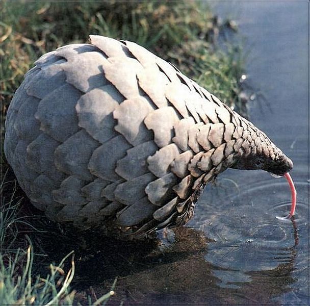 morning picdump 53 pics 22.html - 53 HD Photos | Premium Gallery 2014