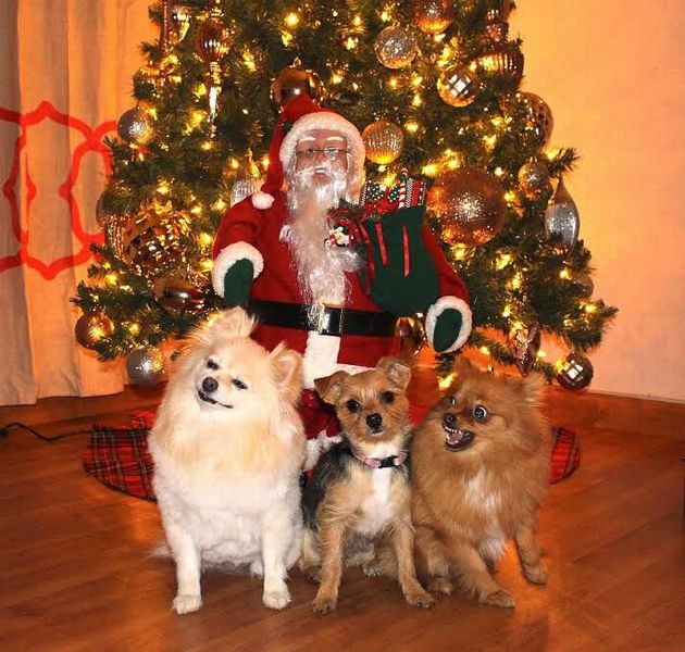 morning picdump 56 pics 3.html - 56 HD Photos | Premium Gallery 2014