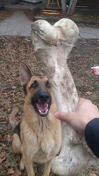 morning picdump 56 pics 3.html - 56 HD Photos | Premium Gallery 2014