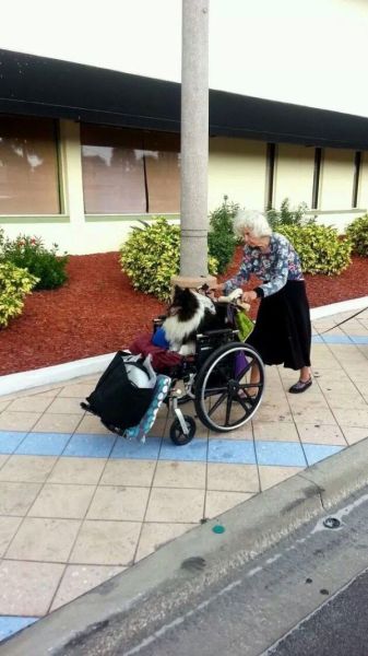 morning picdump 56 pics 3.html - 56 HD Photos | Premium Gallery 2014