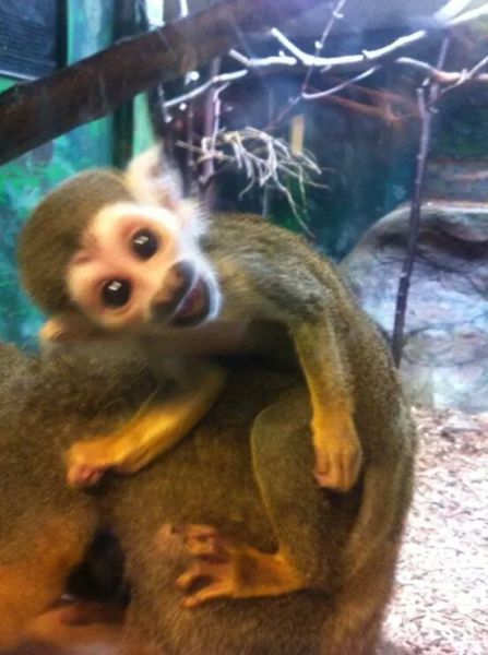 morning picdump 56 pics 3.html - 56 HD Photos | Premium Gallery 2014