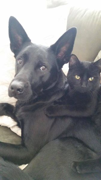 morning picdump 56 pics 3.html - 56 HD Photos | Premium Gallery 2014