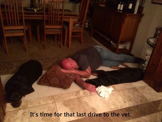 daily picdump 97 pics 49.html - 97 HD Photos | Premium Gallery 2014