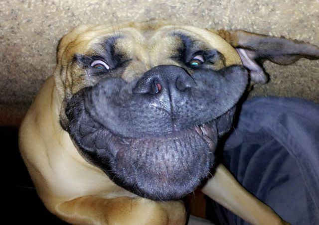 daily picdump 97 pics 49.html - 97 HD Photos | Premium Gallery 2014