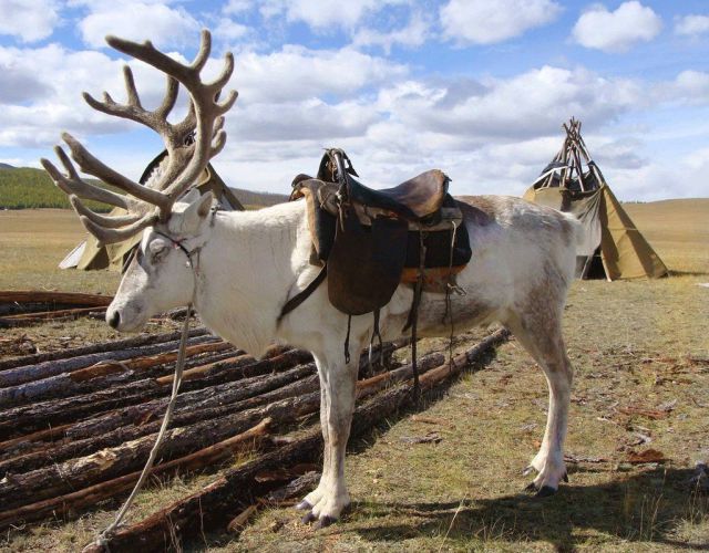 daily picdump 97 pics 49.html - 97 HD Photos | Premium Gallery 2014