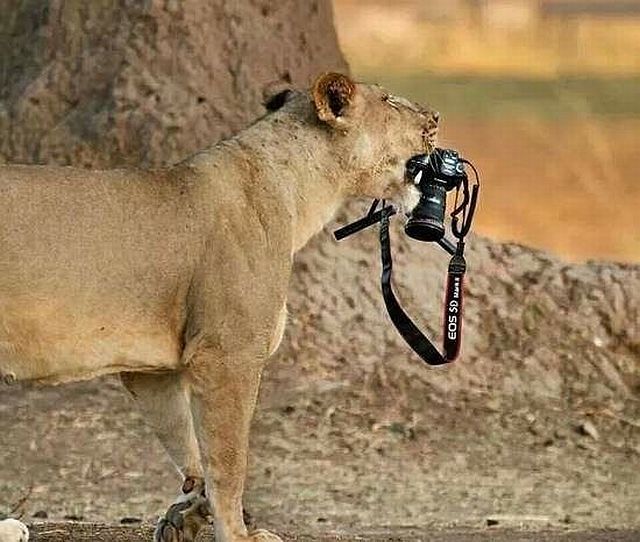 daily picdump 97 pics 49.html - 97 HD Photos | Premium Gallery 2014