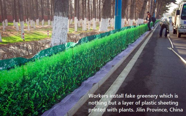 daily picdump 97 pics 49.html - 97 HD Photos | Premium Gallery 2014