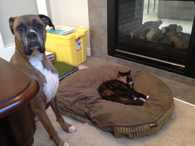 daily picdump 97 pics 49.html - 97 HD Photos | Premium Gallery 2014