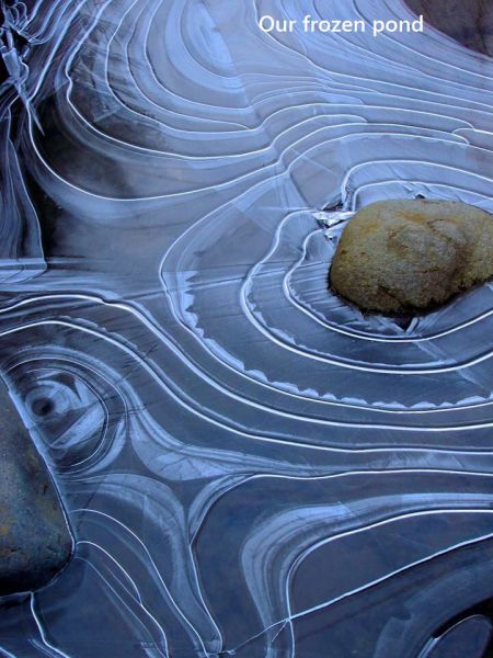 daily picdump 97 pics 49.html - 97 HD Photos | Premium Gallery 2014