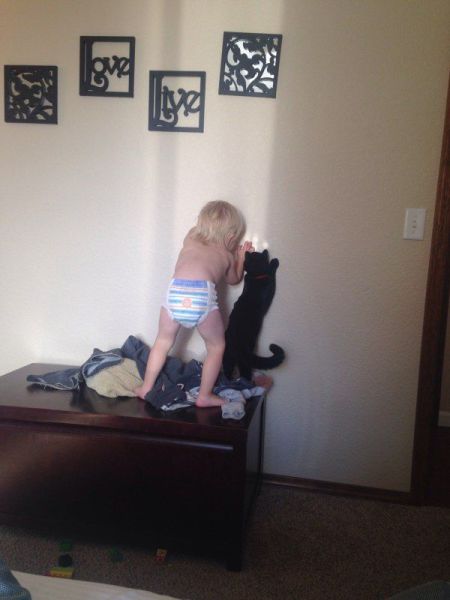 morning picdump 50 pics 25.html - 50 HD Photos | Premium Gallery 2014