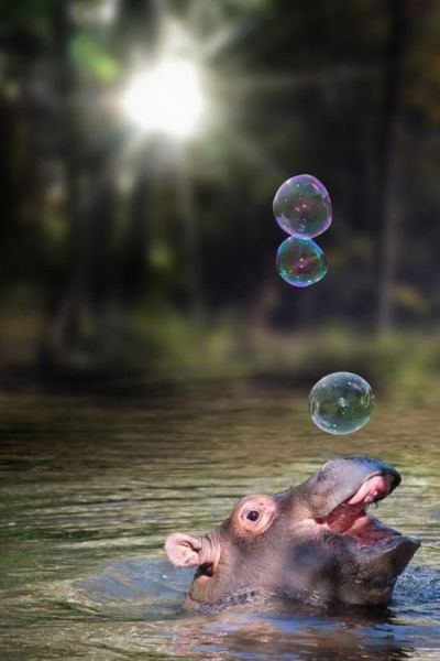 morning picdump 50 pics 25.html - 50 HD Photos | Premium Gallery 2014