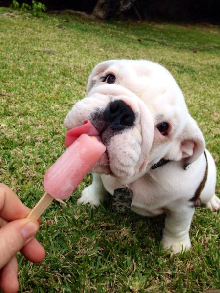 morning picdump 50 pics 25.html - 50 HD Photos | Premium Gallery 2014