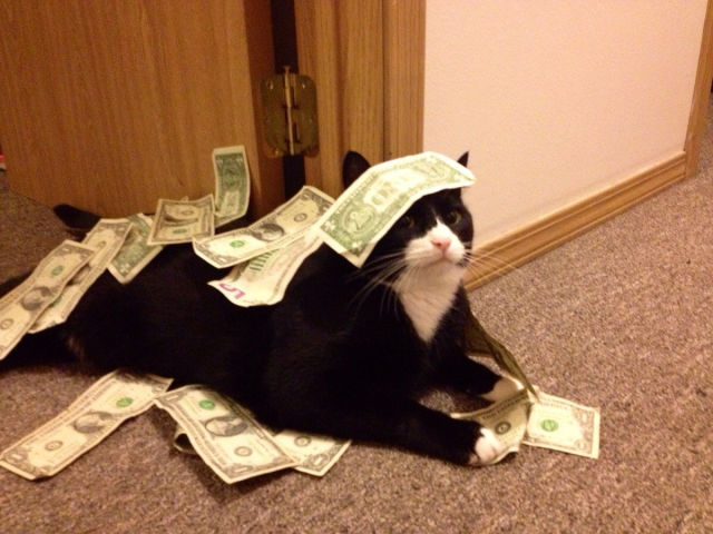 Morning Picdump