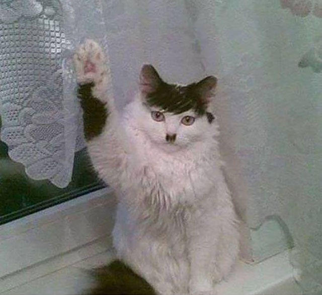 morning picdump 52 pics 15.html - 52 HD Photos | Premium Gallery 2014