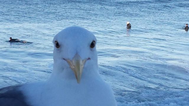 morning picdump 52 pics 15.html - 52 HD Photos | Premium Gallery 2014