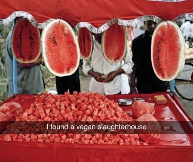 morning picdump 54 pics 19.html - 54 HD Photos | Premium Gallery 2014