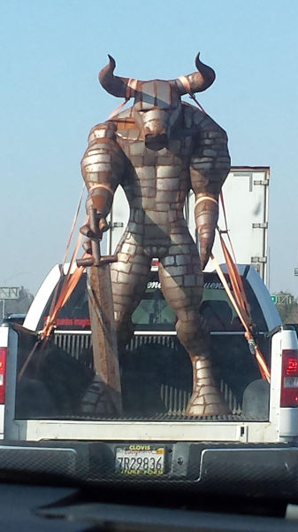Morning Picdump